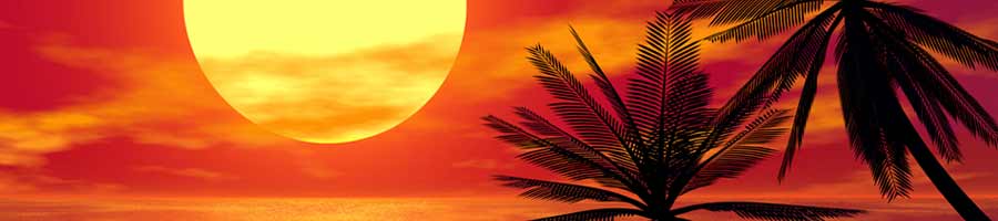 carribean island photo